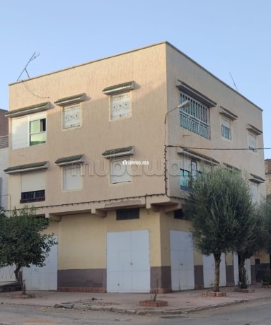 maison-r2-avec-garages-et-toit-terrasse-3-facades-big-0
