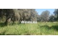 terrasse-25ha-titre-zone-villas-rte-dourika-small-0