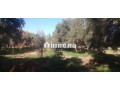 terrasse-25ha-titre-zone-villas-rte-dourika-small-1