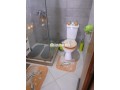a-sidi-maarouf-pres-de-sation-totale-apprt-meuble-small-1