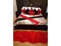 a-sidi-maarouf-pres-de-sation-totale-apprt-meuble-small-8