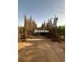 vente-terrain-agricole-de-260000-m2-a-marrakech-small-0
