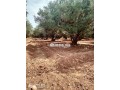 vente-terrain-agricole-de-260000-m2-a-marrakech-small-1