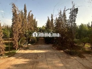 vente-terrain-agricole-de-260000-m2-a-marrakech
