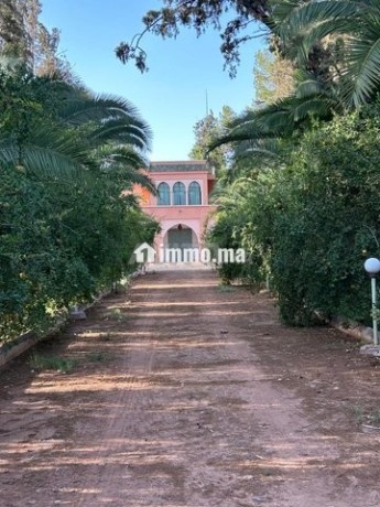 vente-terrain-agricole-de-260000-m2-a-marrakech-big-3