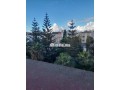 shk-llkraaa-balalf-krb-alshykh-zayd-small-0