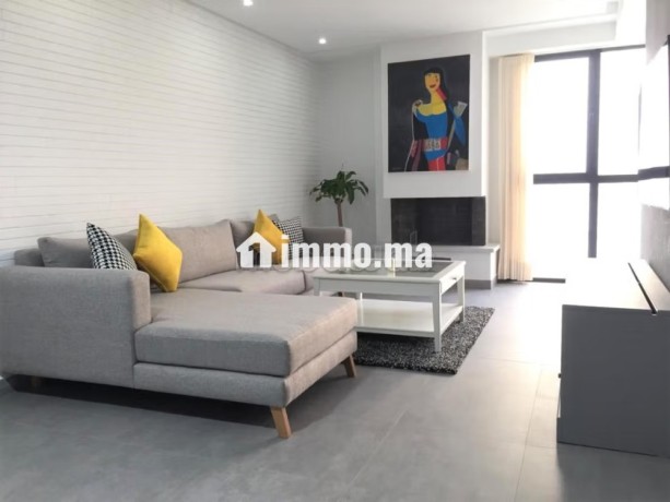 studio-meuble-a-louer-a-racine-big-0