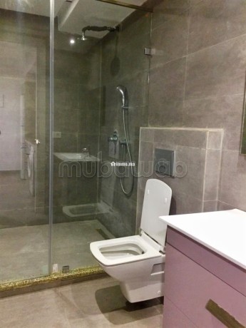 studio-meuble-a-louer-a-racine-big-1