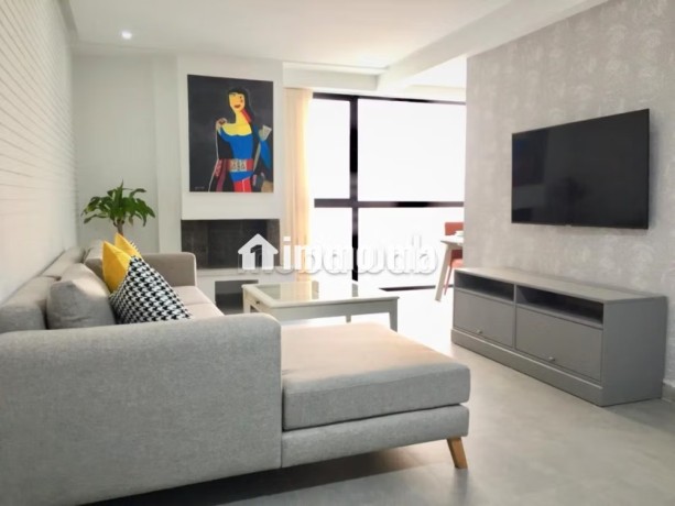 studio-meuble-a-louer-a-racine-big-3