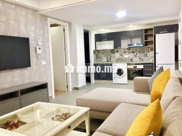 studio-meuble-a-louer-a-racine-big-5