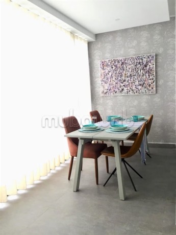 studio-meuble-a-louer-a-racine-big-6