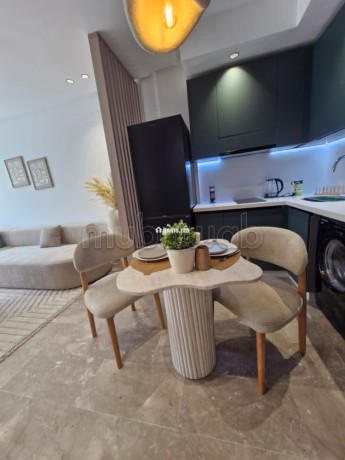 superbe-studio-meuble-avec-double-terrasse-big-7