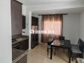 appartement-3-chambres-180m2-a-5mn-du-lycee-descartes-small-16