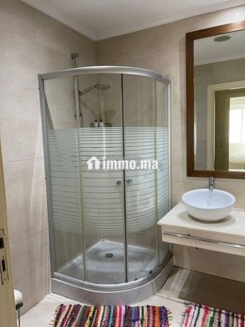 bel-appartement-meuble-avec-grande-terasse-big-9