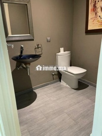 bel-appartement-meuble-avec-grande-terasse-big-2