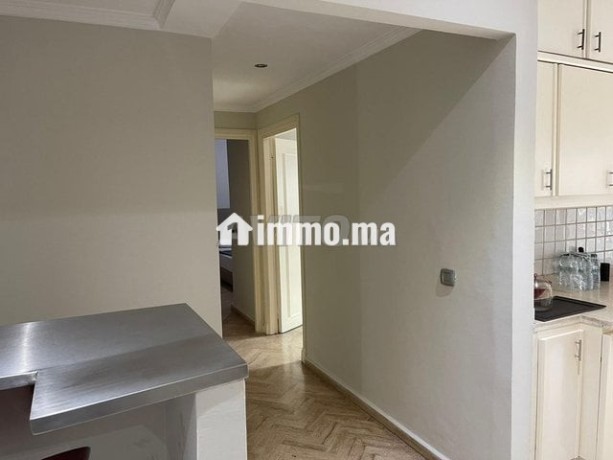 bel-appartement-meuble-avec-grande-terasse-big-3