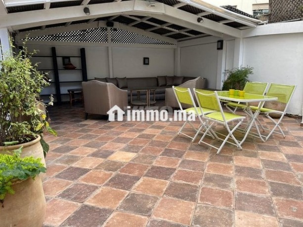 bel-appartement-meuble-avec-grande-terasse-big-7