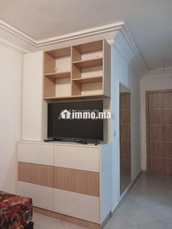 studio-meuble-a-anza-a-deux-pas-de-la-plage-big-6
