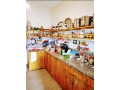 vente-maison-avec-magasin-commercial-small-1
