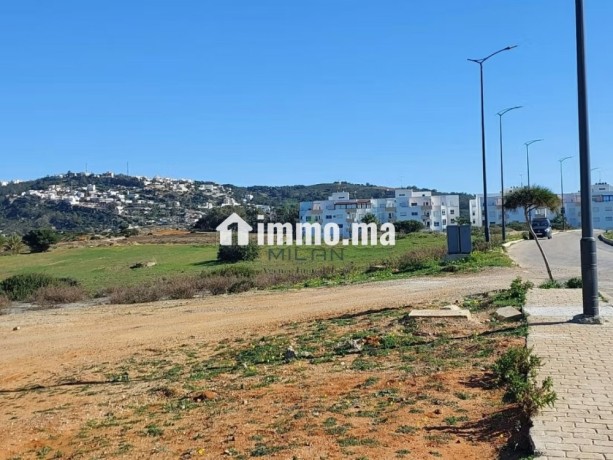 terrain-titre-5-hectares-pour-projet-a-cap-spartel-big-0