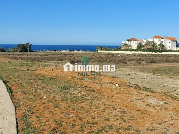 terrain-titre-5-hectares-pour-projet-a-cap-spartel-big-4