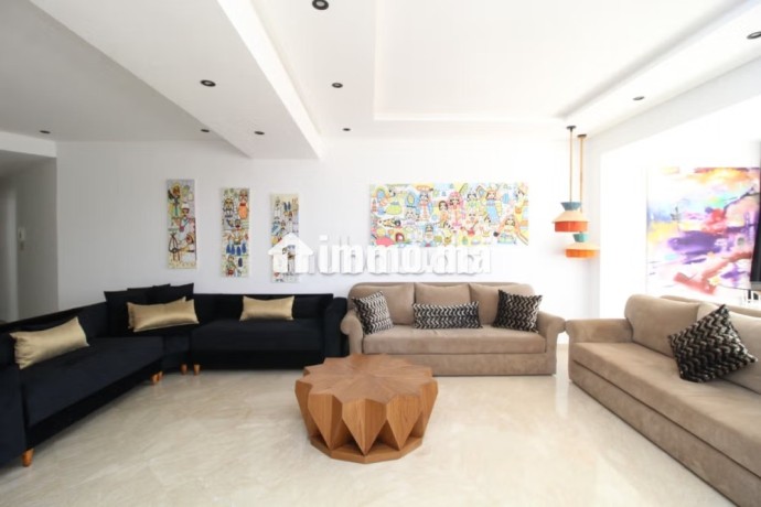 appartement-avec-grande-terrasse-en-plein-centre-big-6