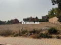 a-vendre-terrain-a-cherifia-small-0