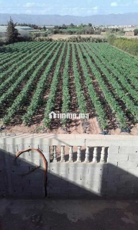 terrain-et-ferme-en-vente-a-ouled-teima-big-3