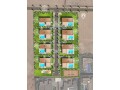 maison-de-luxe-a-vendre-a-route-de-lourika-5-belles-chambres-small-11