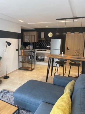 magnifique-appartement-a-bourgogne-superficie-60-m2-meuble-big-5