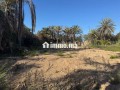 a-vendre-terrain-1850m-small-4