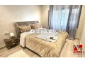 appartement-confortable-pour-vacances-small-5