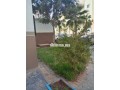 appartement-ent-meuble-a-louer-asalam-small-6