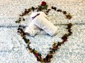 location-dun-appartement-a-tanger-city-center-3-pieces-confortables-vue-sur-la-mer-chauffage-central-small-19