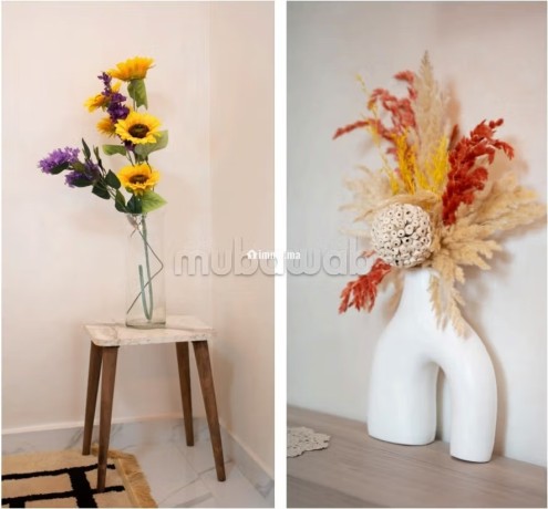 appartement-de-vacances-a-louer-a-ain-sebaa-1-chambre-jardin-et-garage-big-9