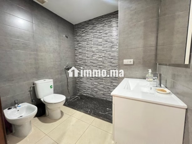 appartement-meuble-en-location-big-3