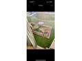 appartement-a-louer-a-agdal-1-piece-avec-ascenseur-et-terrasse-small-1