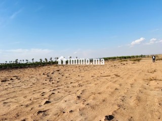 vente-terrain-a-route-de-ouarzazate-superficie-2501-m2