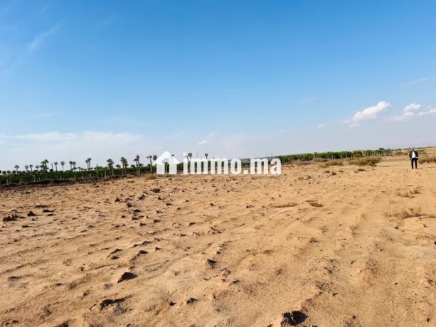 vente-terrain-a-route-de-ouarzazate-superficie-2501-m2-big-0