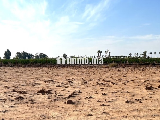 vente-terrain-a-route-de-ouarzazate-superficie-2501-m2-big-1