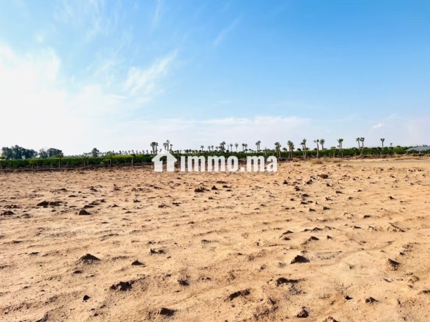 vente-terrain-a-route-de-ouarzazate-superficie-2501-m2-big-2