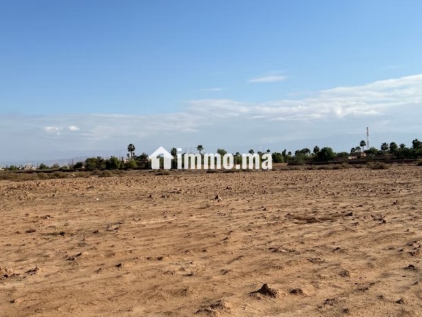 vente-terrain-a-route-de-ouarzazate-superficie-2501-m2-big-3