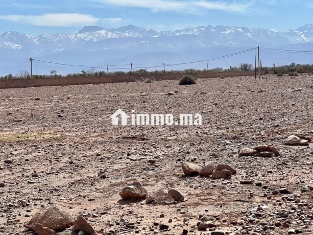 terrain-zone-sd1-10-villas-a-vendre-a-route-de-lourika-surface-de-10000-m2-big-2