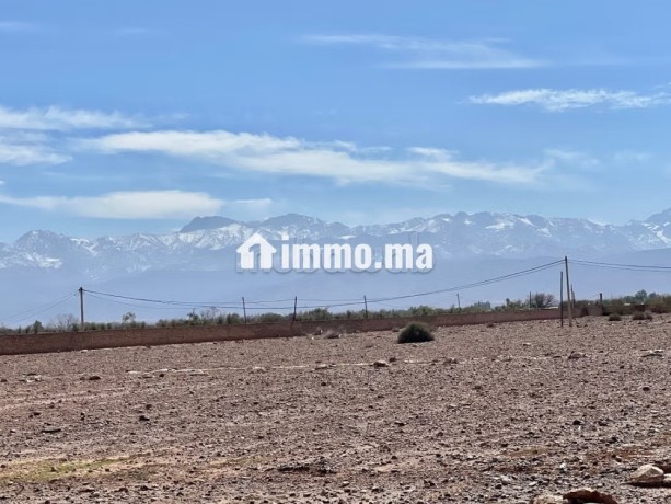 terrain-zone-sd1-10-villas-a-vendre-a-route-de-lourika-surface-de-10000-m2-big-3