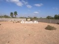 terrain-secteur-route-amizmiz-small-0