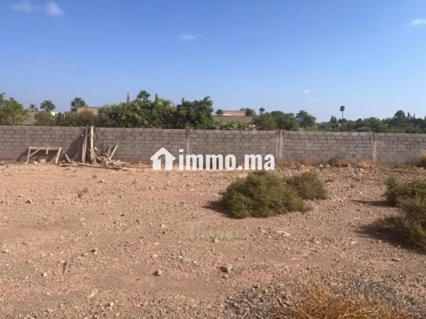 terrain-secteur-route-amizmiz-big-3