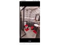 location-dun-appartement-en-centre-ville-1-piece-tout-confort-avec-cheminee-et-climatisation-small-2