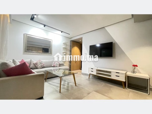superbe-studio-plein-gauthier-cote-faculte-medcine-big-5