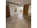 appartement-terrasse-a-louer-a-ain-de-small-2