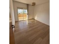 appartement-terrasse-a-louer-a-ain-de-small-4